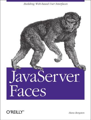 Cover image: JavaServer Faces 1st edition 9780596005399