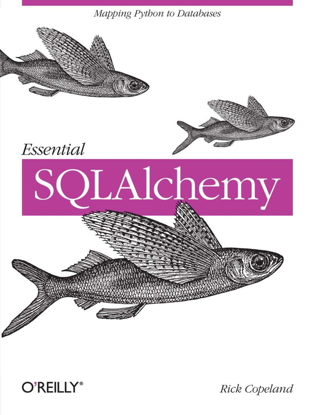 Essential SQLAlchemy 1st Edition