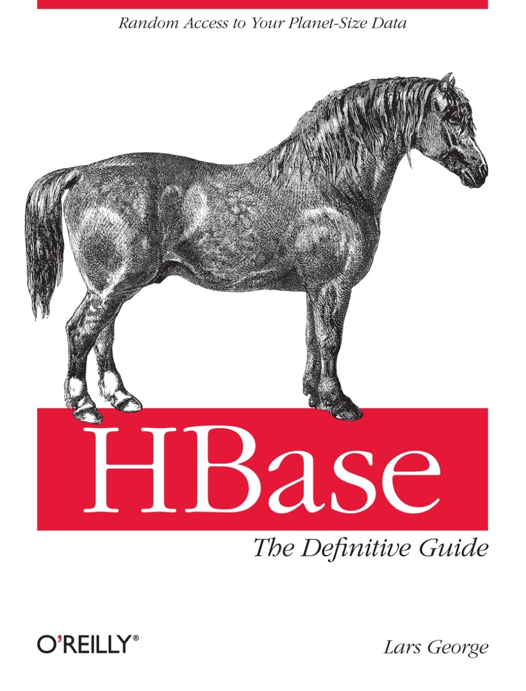 HBase: The Definitive Guide 1st Edition
