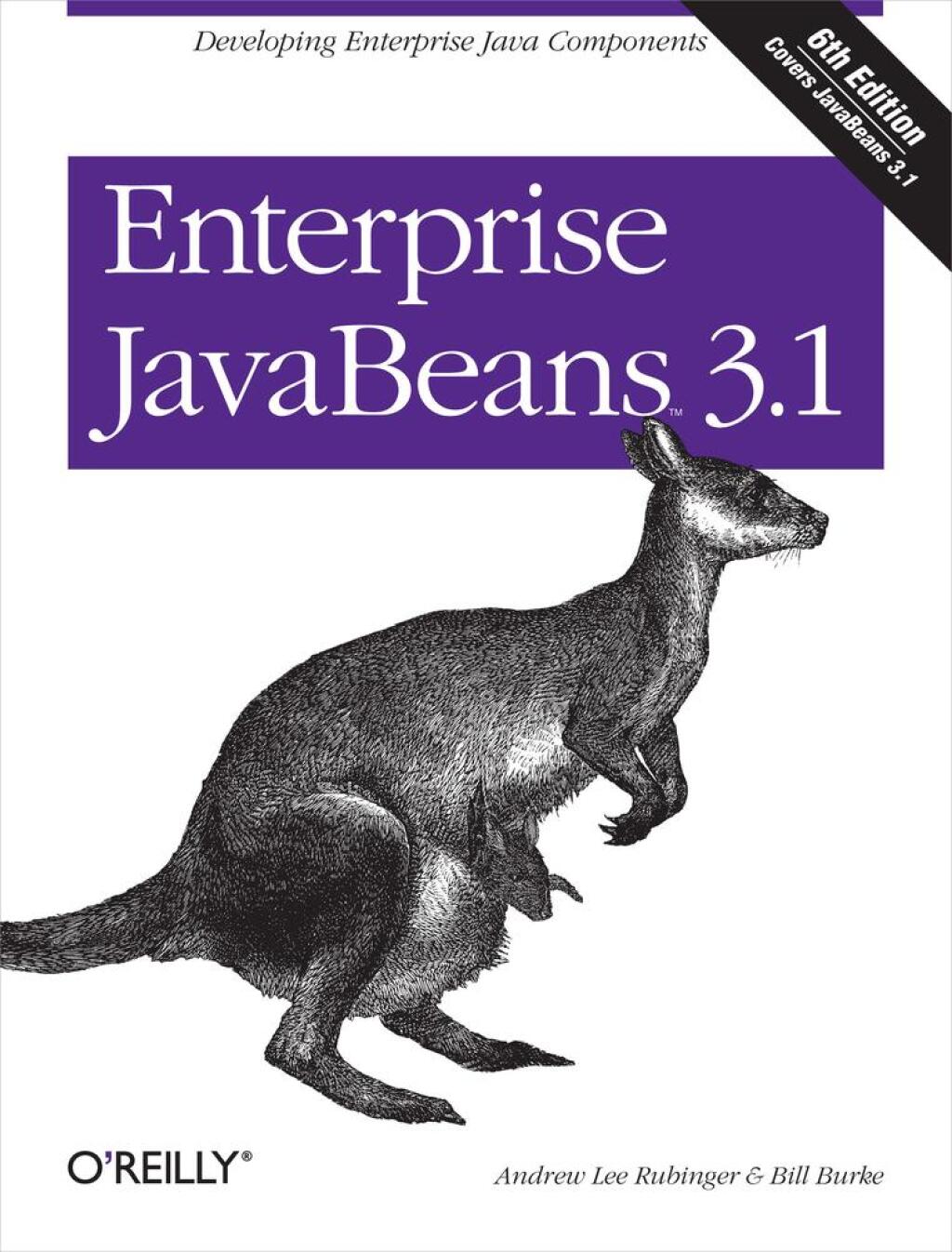 Enterprise JavaBeans 3.1 Developing Enterprise Java Components 6th Edition