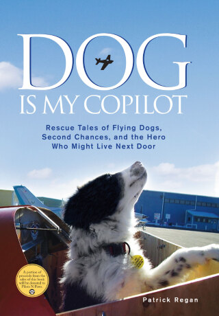 Imagen de portada: Dog Is My Copilot 9781449407605