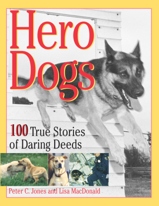 Imagen de portada: Hero Dogs 9780836227208