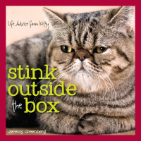 Titelbild: Stink Outside the Box 9781449456597