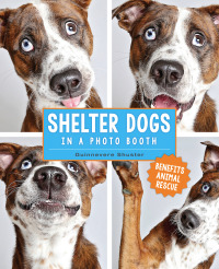Imagen de portada: Shelter Dogs in a Photo Booth 9781449477844