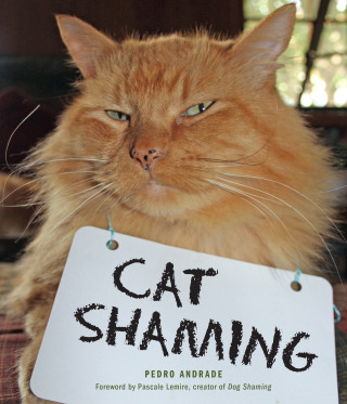 صورة الغلاف: Cat Shaming 9781449478391