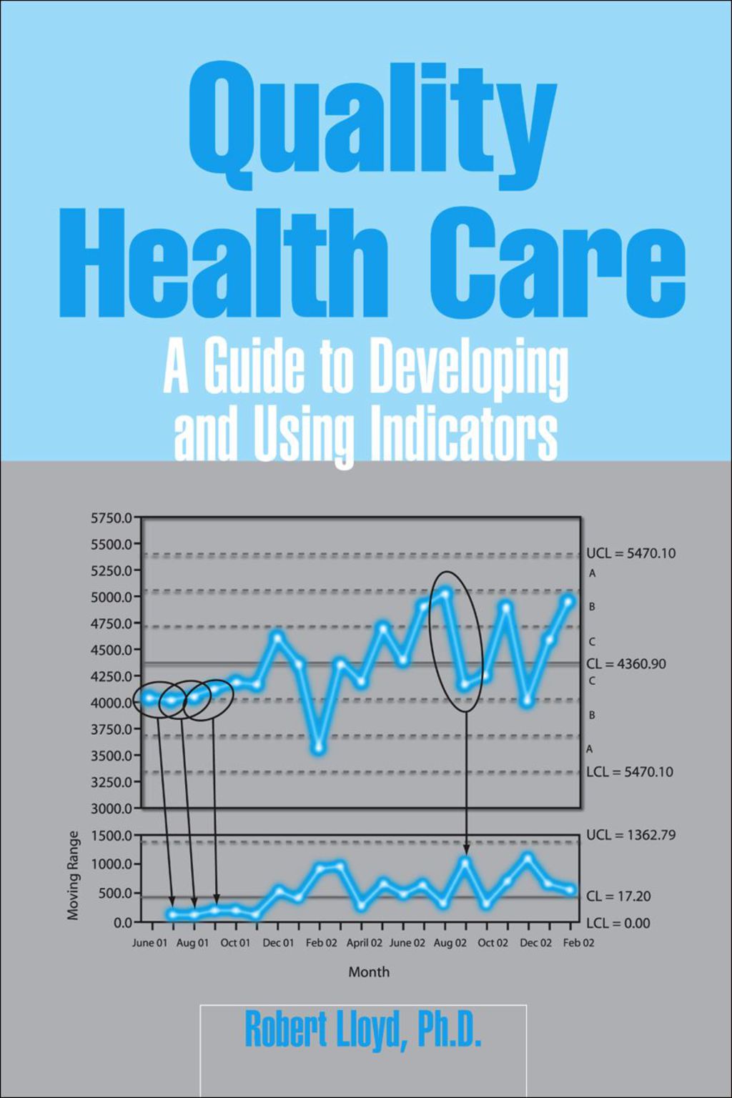 Quality Health Care: A Guide to Developing and Using Indicators 1st Edition