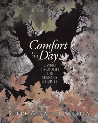 Cover image: Comfort for the Day 9781449718824