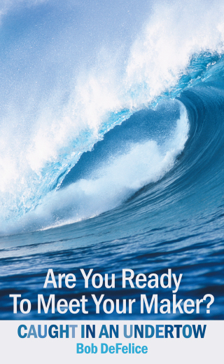 表紙画像: Are You Ready To Meet Your Maker? 9781449731137