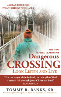 Imagen de portada: Dangerous Crossing - Look  Listen and Live 9781449793876