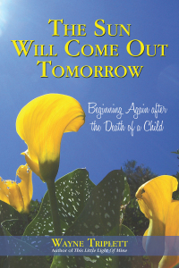 Imagen de portada: The Sun Will Come out Tomorrow 9781450250993