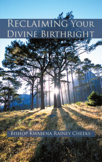 Omslagafbeelding: Reclaiming Your Divine Birthright 9781450278874