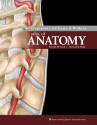 Cover image: Lippincott Williams & Wilkins Atlas of Anatomy 1st edition