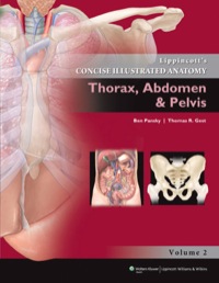 Cover image: Lippincott's Concise Illustrated Anatomy: Thorax, Abdomen & Pelvis 1st edition 9781609130282