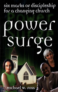 Immagine di copertina: Power Surge 9780800632649
