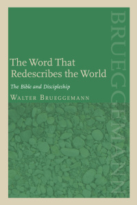 Imagen de portada: Word that Redescribes the World 9780800638146