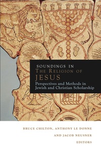Omslagafbeelding: Soundings in the Religion of Jesus 9780800698010