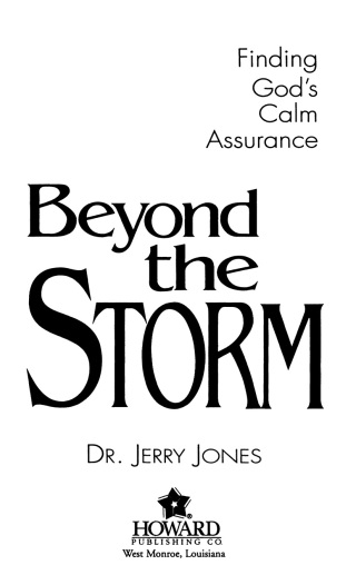 Cover image: Beyond the Storm 9781582292953