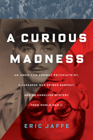 Cover image: A Curious Madness 9781451612110