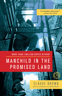 Cover image: Manchild in the Promised Land 9781451631579