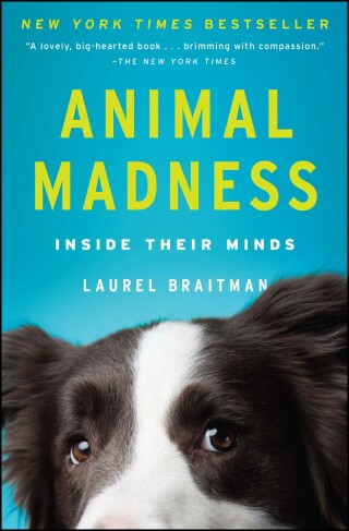 Cover image: Animal Madness 9781451627015