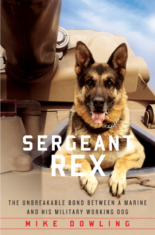 Cover image: Sergeant Rex 9781451635973