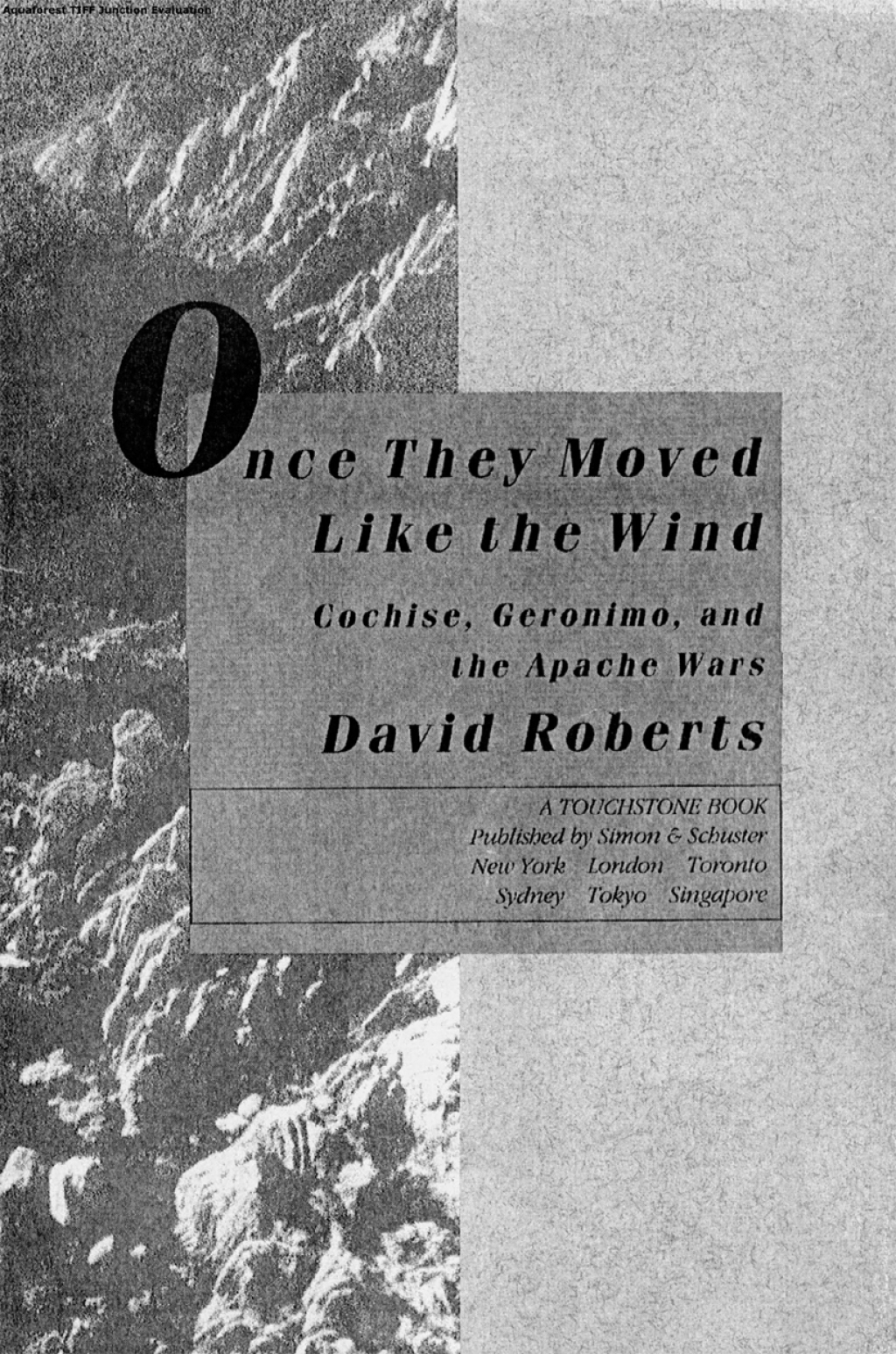 ONCE THEY MOVED LIKE THE WIND: COCHISE, GERONIMO,
