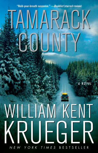 Cover image: Tamarack County 9781451645774
