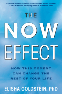 Cover image: The Now Effect 9781451623895