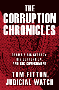 Cover image: The Corruption Chronicles 9781476767055