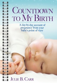 Cover image: Countdown To My Birth 9781476769066