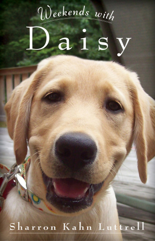 Cover image: Weekends with Daisy 9781451686258