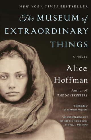 Cover image: The Museum of Extraordinary Things 9781451693577