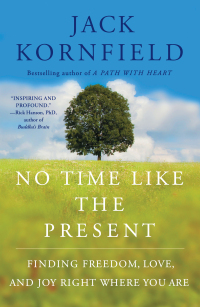 Cover image: No Time Like the Present 9781451693706