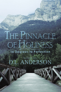 Omslagafbeelding: The Pinnacle of Holiness 9781452019543