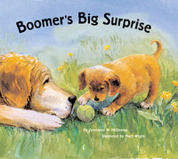 Omslagafbeelding: Boomer's Big Surprise 9780811849074