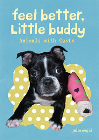 Immagine di copertina: Feel Better Little Buddy 9780811877602