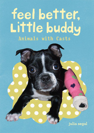 Cover image: Feel Better Little Buddy 9780811877602