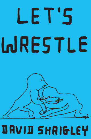 Imagen de portada: Let's Wrestle 9780811856232