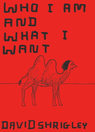 Cover image: Who I Am and What I Want 9780811855303