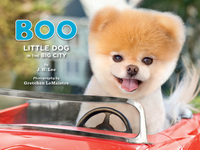 صورة الغلاف: Boo: Little Dog in the Big City 9781452109718