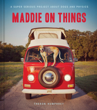 Immagine di copertina: Maddie on Things 9781452115566