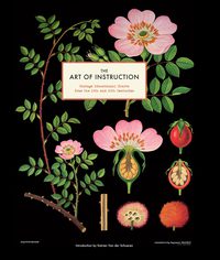Cover image: The Art of Instruction 9781452101118