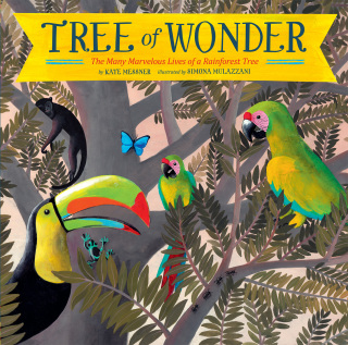 Cover image: Tree of Wonder 9781452112480