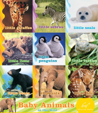 Cover image: Baby Animals in the Wild (set) 9780811863070