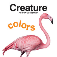 Titelbild: Creature Colors 9781452116686