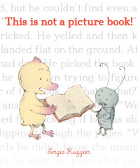 صورة الغلاف: This Is Not a Picture Book! 9781452129075
