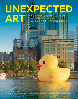 Cover image: Unexpected Art 9781452135489