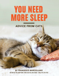 Imagen de portada: You Need More Sleep 9781452138916