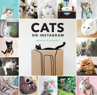 Imagen de portada: Cats on Instagram 9781452151960