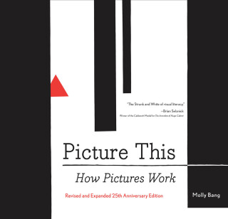 Cover image: Picture This 9781452151991